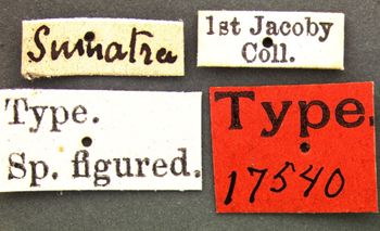 Media type: image; Entomology 17540   Aspect: labels